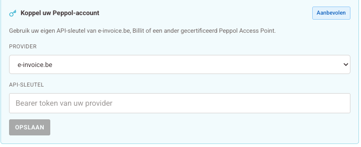 Provider · API-sleutel · Opslaan